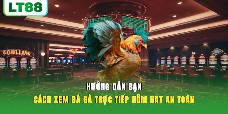 Hướng dẫn bạn cách xem đá gà trực tiếp hôm nay an toàn