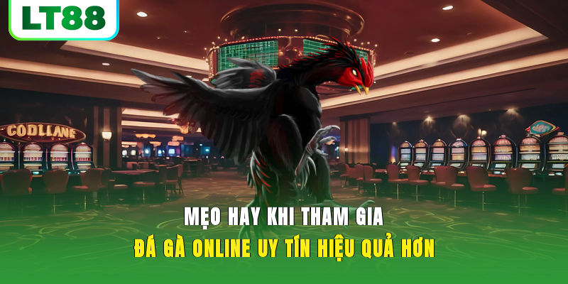 Một số hình thức tham gia dành cho bet thủ