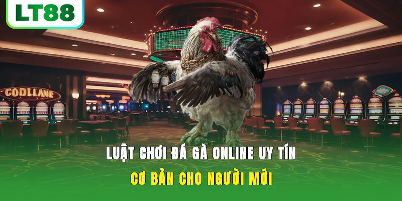 Những điểm nổi bật mà bạn cần nắm tại trang game