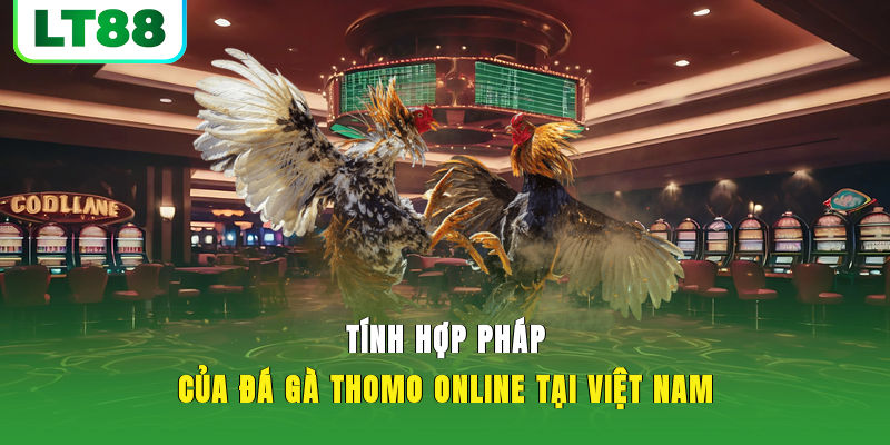Tính hợp pháp của đá gà thomo online tại Việt Nam